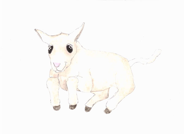 600x438 Leaping Baby Lamb - Baby Lamb Sketch