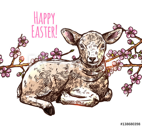 500x445 Printhand Drawn Happy Easter Baby Sheep. Sketch Greeting - Baby Lamb Sketch