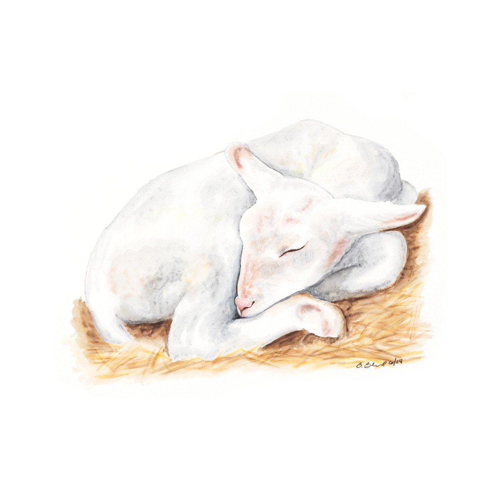 1024x1024 Sleeping Baby Lamb Nursery Art Tiny Toes Design - Baby Lamb Sketch