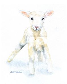236x295 Sheep Realistic Drawing Step By Step - Baby Lamb Sketch
