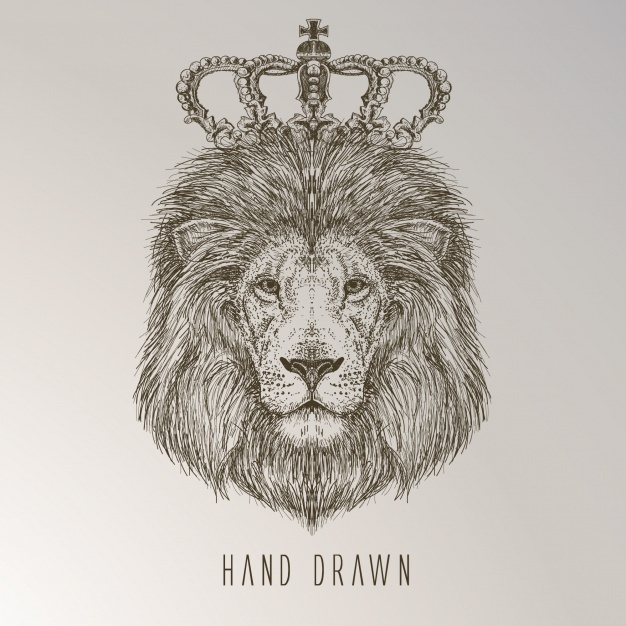 626x626 Lion Vectors, Photos And Psd Files Free Download - Baby Lion Sketch