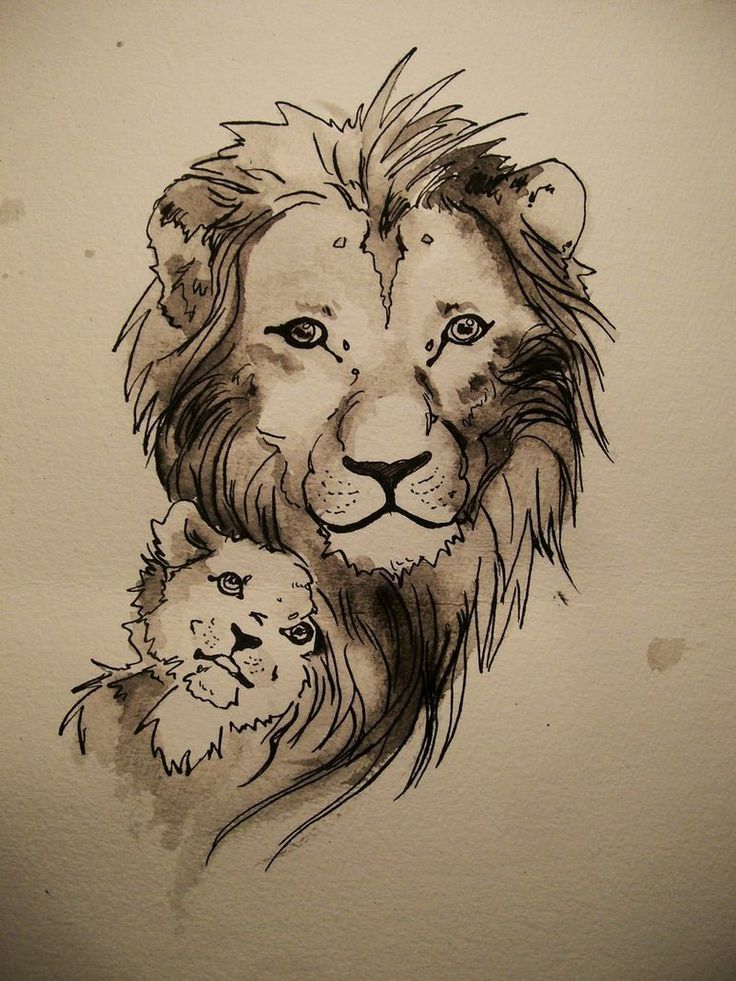 736x981 Baby Lion Tattoos Lion Tattoos Mama Baby Body In 2018 - Baby Lion Sketch
