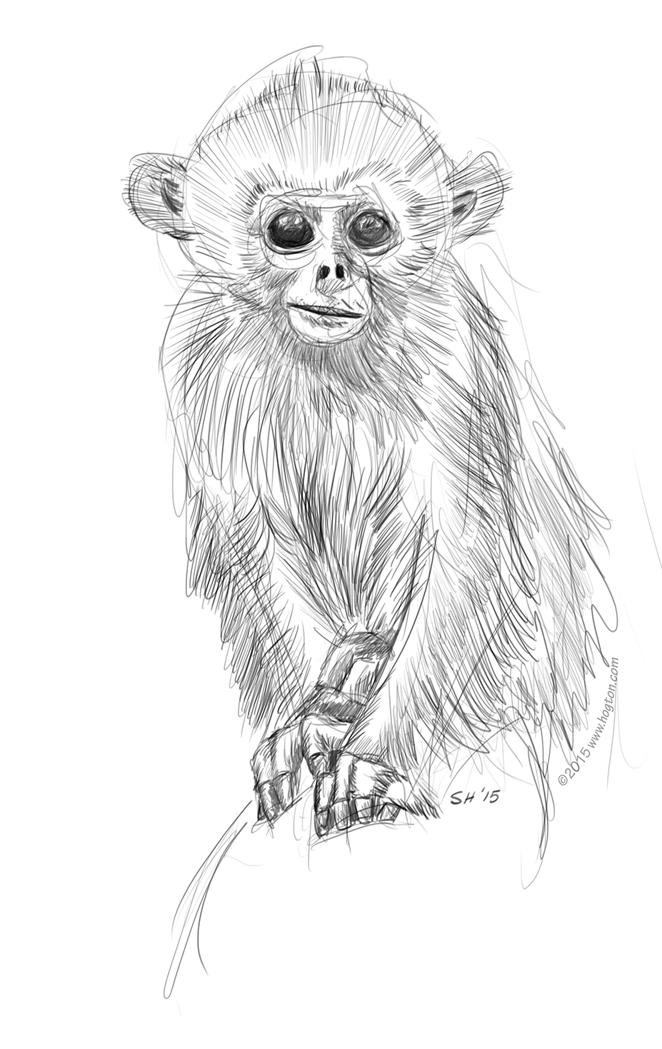 Baby Monkey Sketch at PaintingValley.com | Explore collection of Baby ...