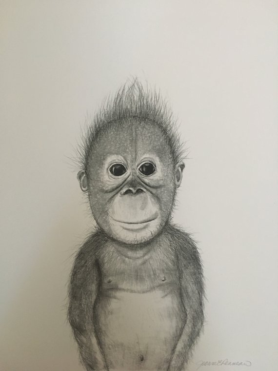 570x760 Baby Monkey Etsy - Baby Monkey Sketch