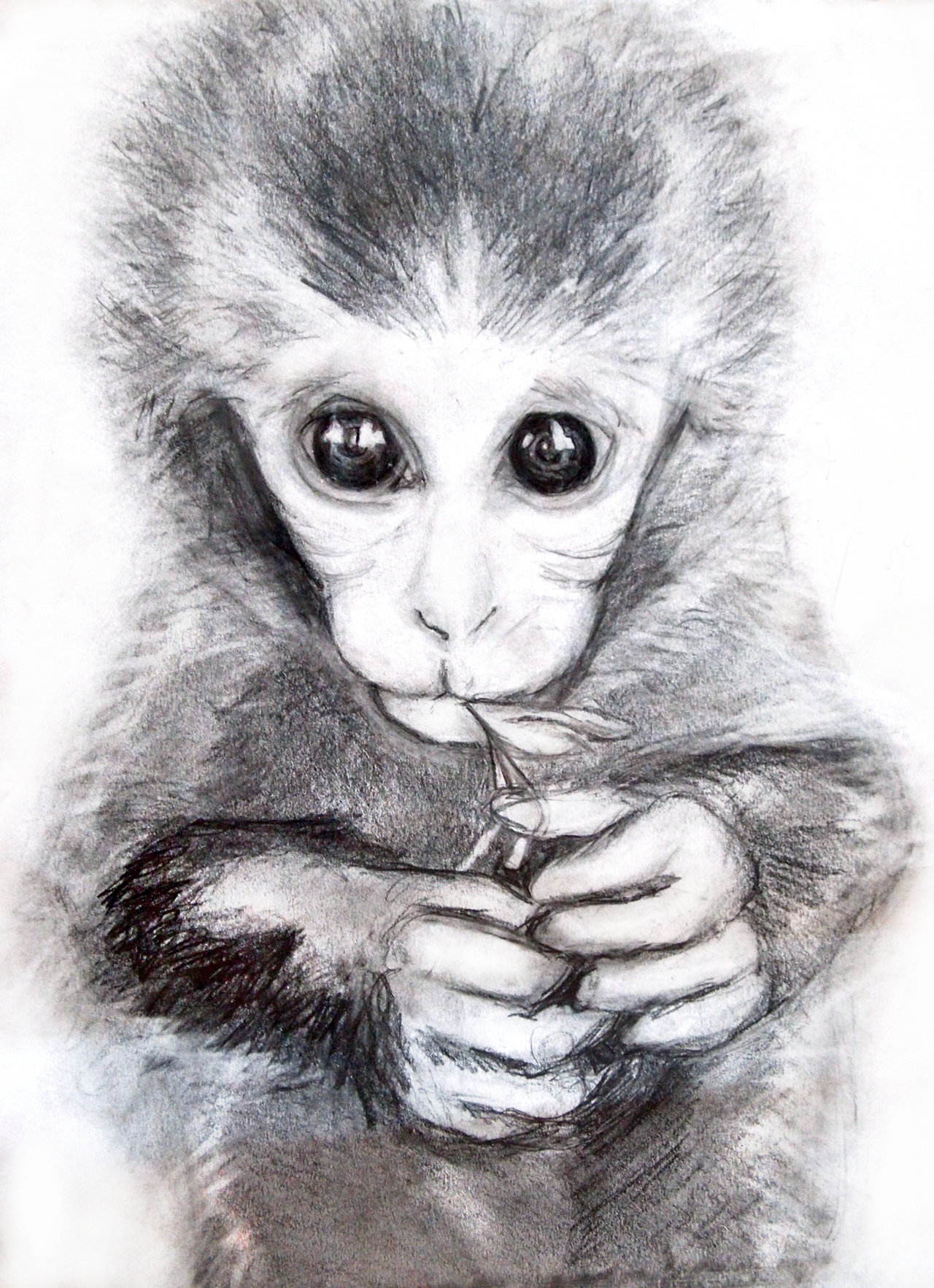 1280x1764 Clipart Pencil Monkey - Baby Monkey Sketch