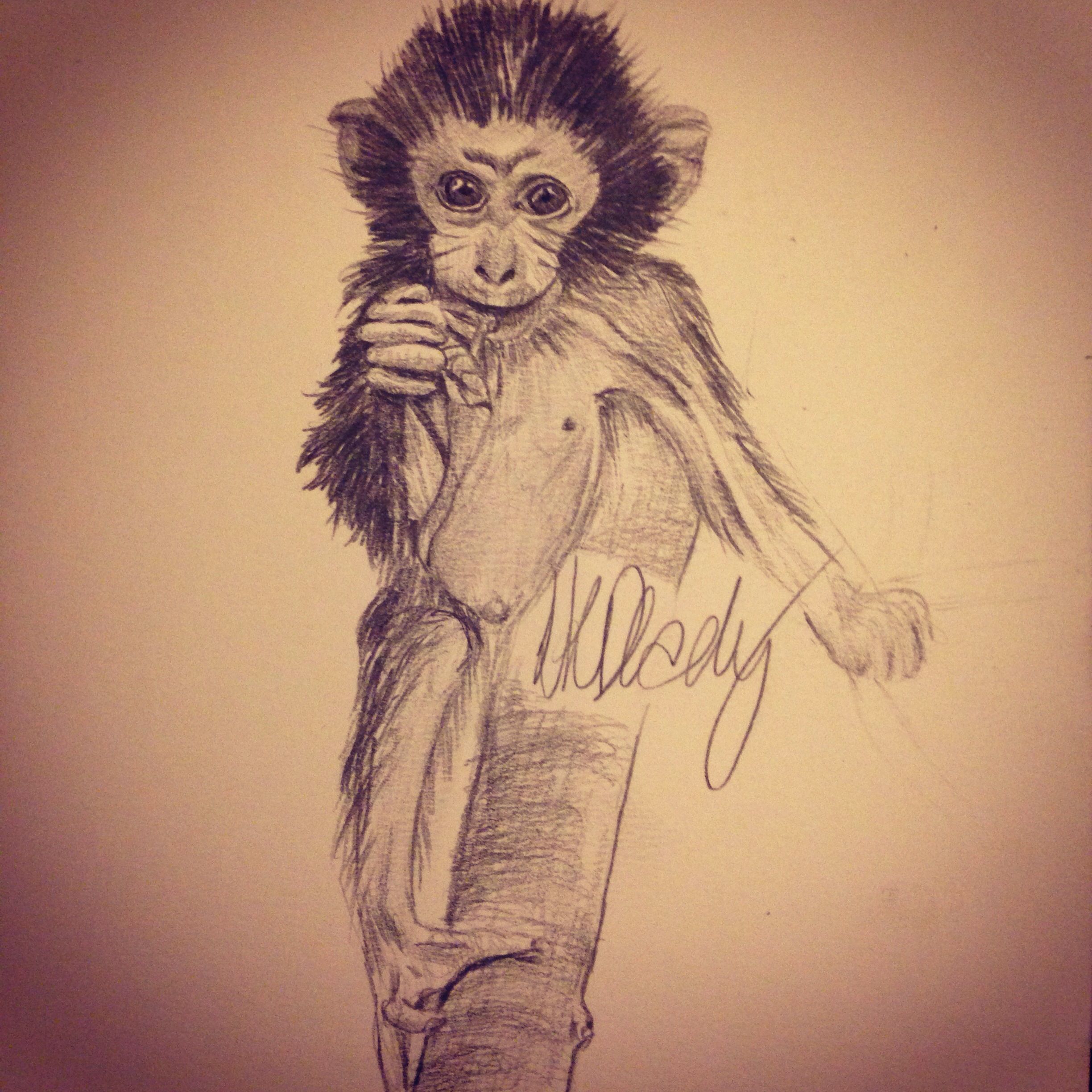 2448x2448 Quick Baby Monkey Sketch My Creations, Latest Illustrations - Baby Monkey Sketch