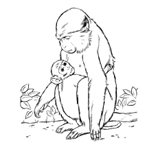 230x230 Top 25 Free Printable Monkey Coloring Pages For Kids - Baby Monkey Sketch