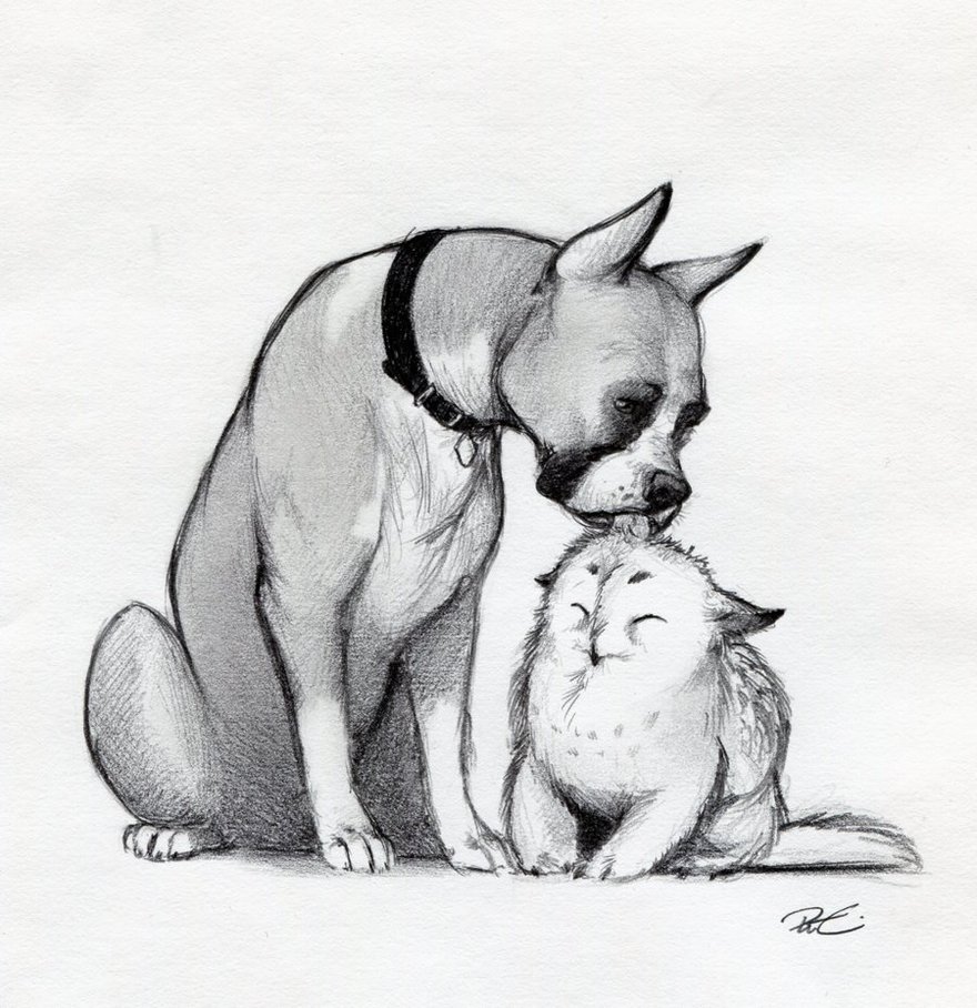 880x908 Boxer With Baby Owl Griffin By Robthedoodler - Baby Owl Sketch