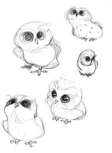 368x503 Gallery For Gt Baby Owl Sketch Illustrations - Baby Owl Sketch