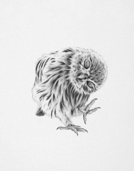 570x724 Owl Art, 8x10 Giclee Print Of My Charcoal Drawing, Dancing Owl - Baby Owl Sketch