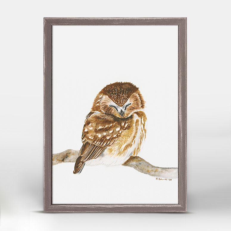 775x775 Sleeping Baby Owl Portrait, Animals Mini Framed Canvas Oopsy Daisy - Baby Owl Sketch