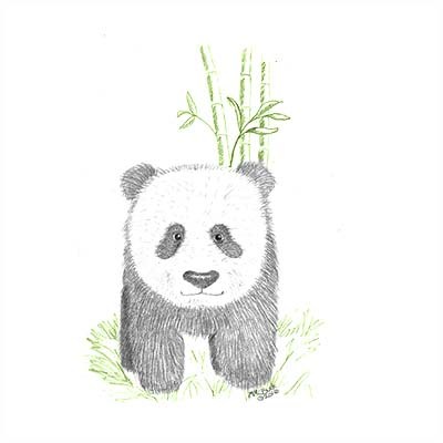 Baby Panda Sketch at PaintingValley.com | Explore collection of Baby ...