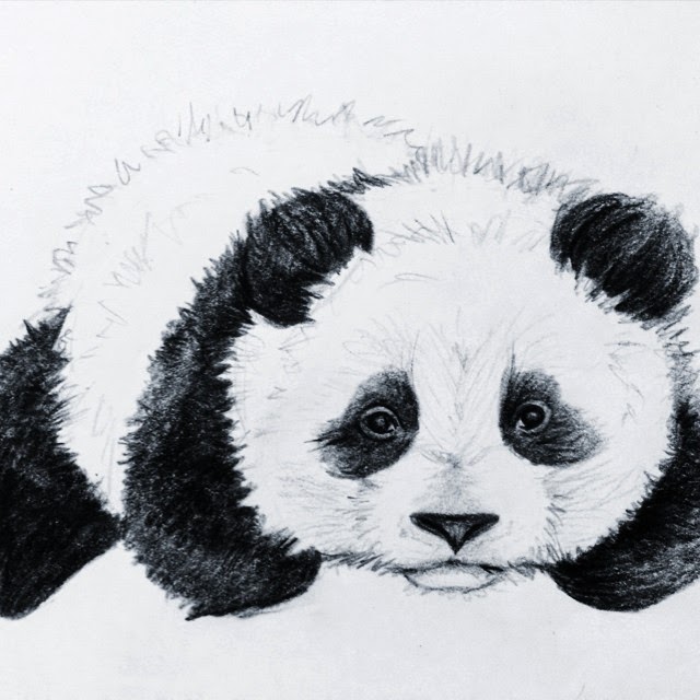 Baby Panda Sketch at PaintingValley.com | Explore collection of Baby ...