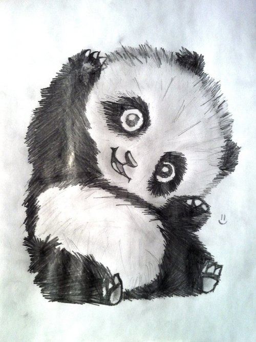 500x668 Baby Panda Sketches Can Be Cute Too Furballs Panda - Baby Panda Sketch