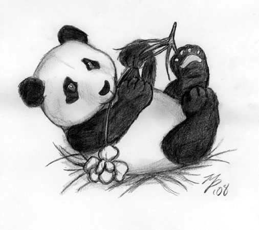 Baby Panda Sketch At Paintingvalley Com Explore Collection Of Baby Panda Sketch