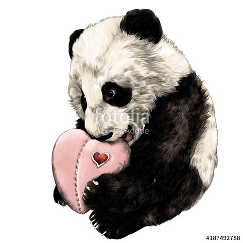 500x500 Baby Panda Sitting Teddy With Heart In Paws Sketch Vector Graphics - Baby Panda Sketch