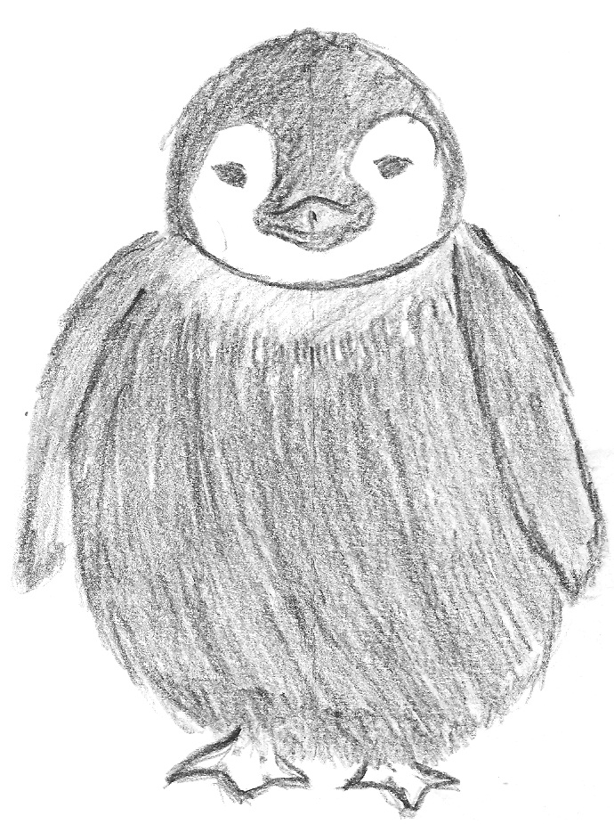 690x925 Baby Penguin Sketch By Roxyielle - Baby Penguin Sketch