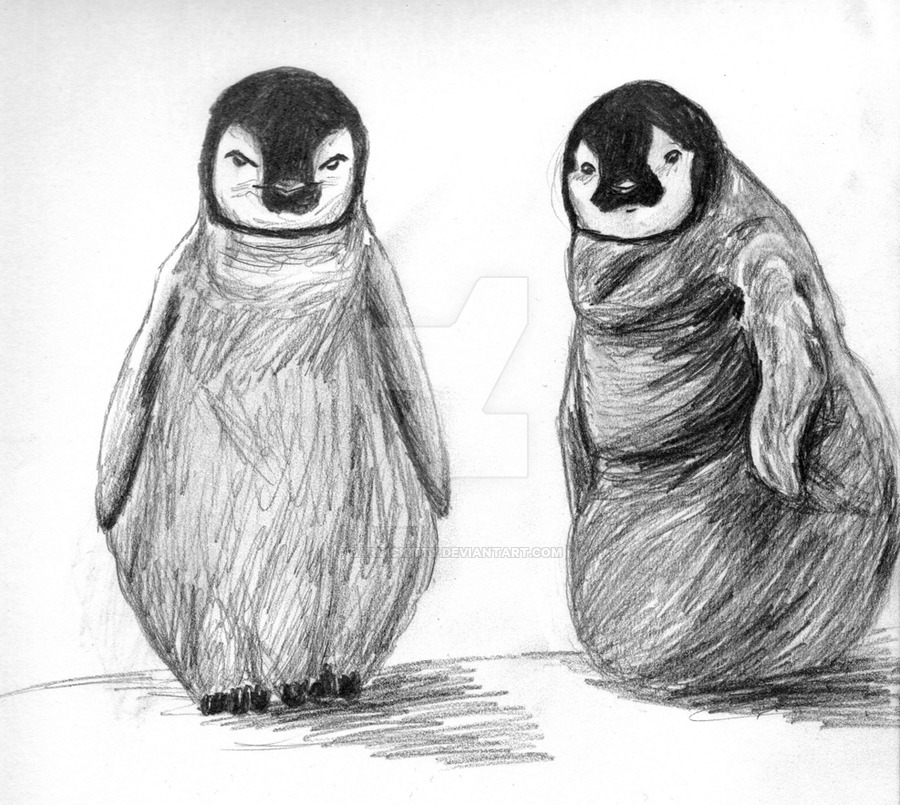 900x805 Baby Penguin Sketches By Bardickitty - Baby Penguin Sketch