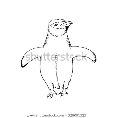 450x470 Draw A Penguin Hand In The Style Of Sketch To Design Cards - Baby Penguin Sketch