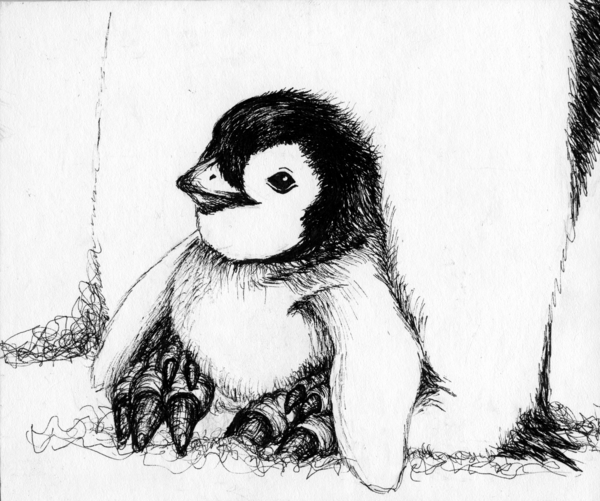 Baby Penguin Sketch at PaintingValley.com | Explore collection of Baby ...