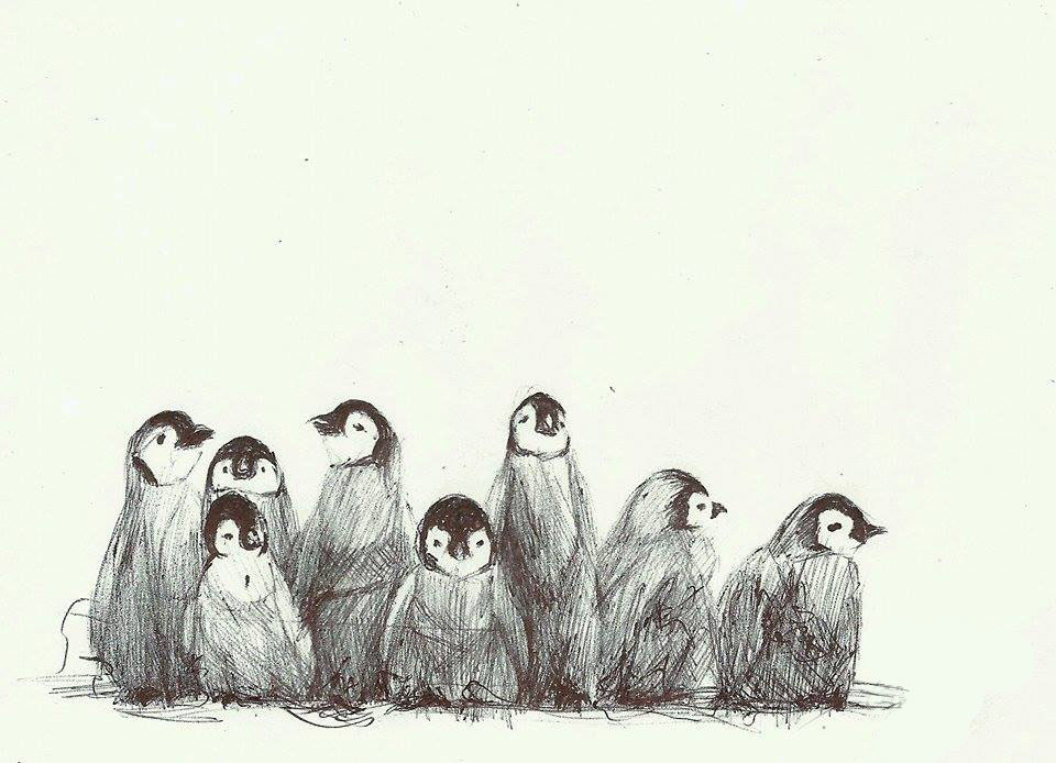 960x694 Artstation - Baby Penguin Sketch