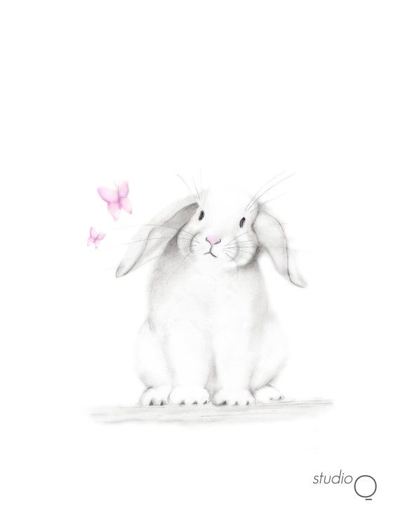 570x738 Bunny Nursery Art, Pencil Drawing, Rabbit Sketch, Baby Girl - Baby Room Sketch