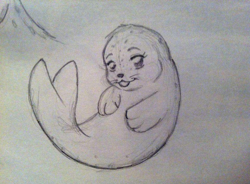 960x709 Baby Seal - Baby Seal Sketch