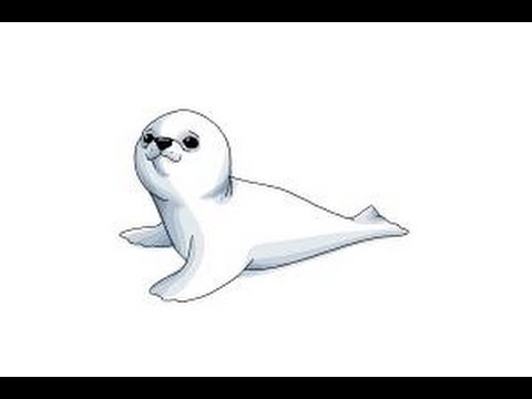480x360 How To Draw A Baby Seal - Baby Seal Sketch