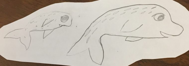 760x266 Mommy And Baby Seal - Baby Seal Sketch