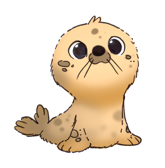 700x711 Piper Thibodeau On Twitter Daily Sketch Baby Seal Daily - Baby Seal Sketch