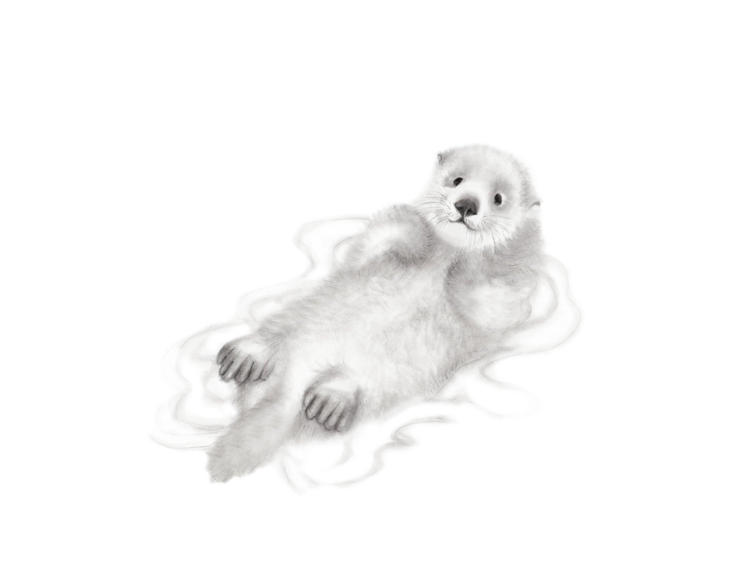 1500x1159 Sea Otter Print Pencil Drawing Gender Neutral Baby Ocean Etsy - Baby Seal Sketch