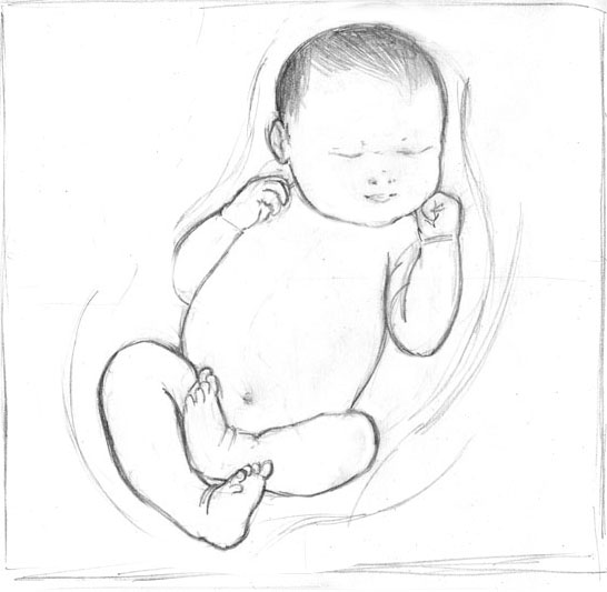 546x533 Jessica Rae Gordon Sleeping Baby - Baby Sleeping Sketch