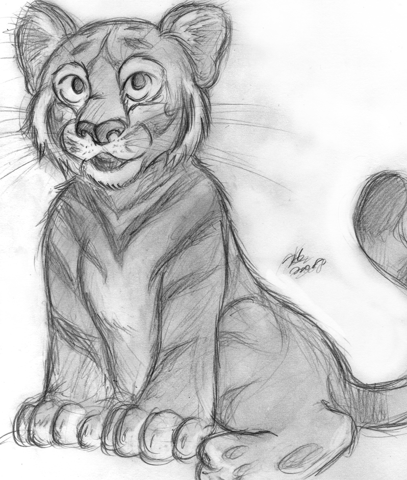 798x940 Baby Tiger Waiting Room Sketch By Tehmomo - Baby Tiger Sketch