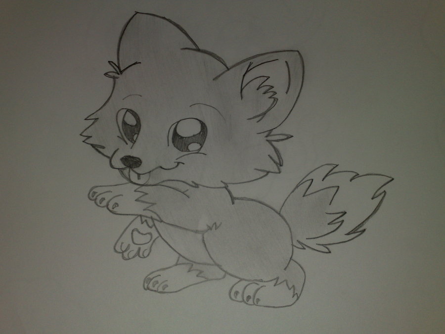 900x675 Easy Baby Wolf Drawing - Baby Wolf Sketch