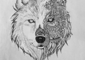 300x210 Many Wolves Pics Sketch Drawing Cute Baby Wolves - Baby Wolf Sketch