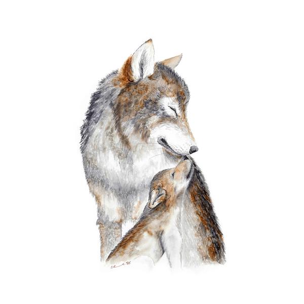 600x600 Mom And Baby Wolf Painting Animal Print Tiny Toes Design - Baby Wolf Sketch