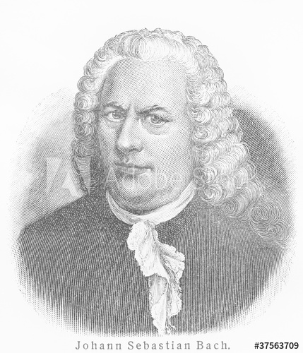 429x500 Johann Sebastian Bach - Bach Sketch