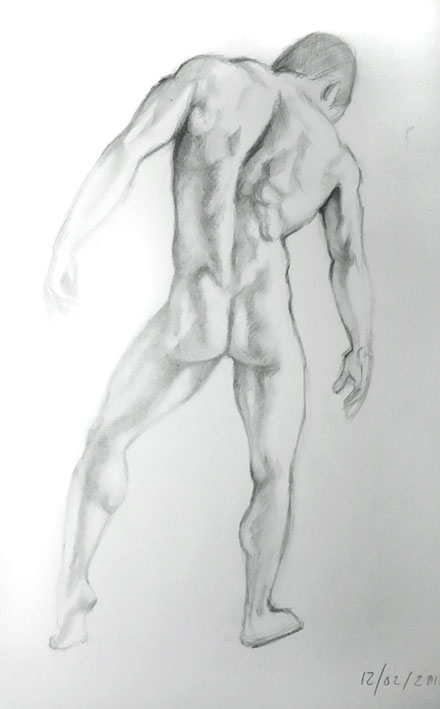 440x709 Sketch Of Male Back By Fyrebirdi - Back Sketch