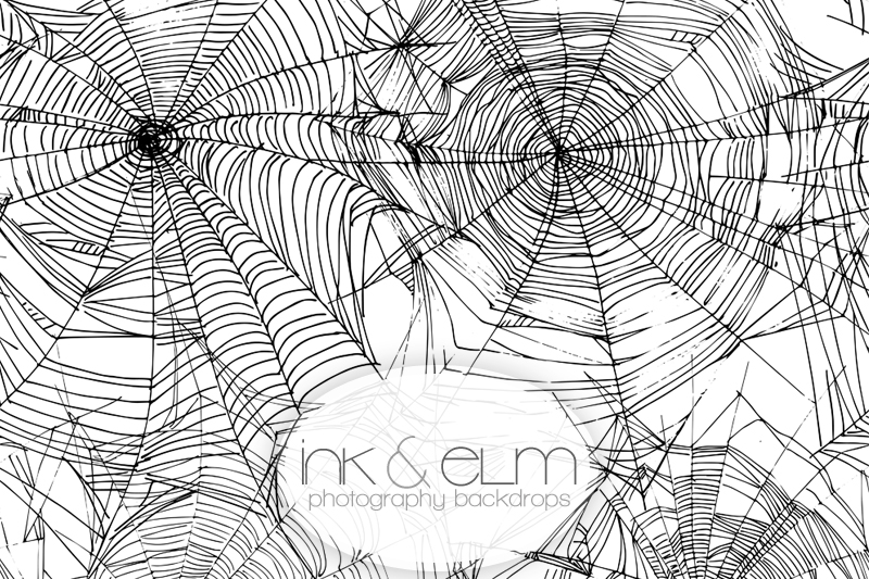 800x533 Photography Backdrop Sketch A Web - Backdrop Sketch
