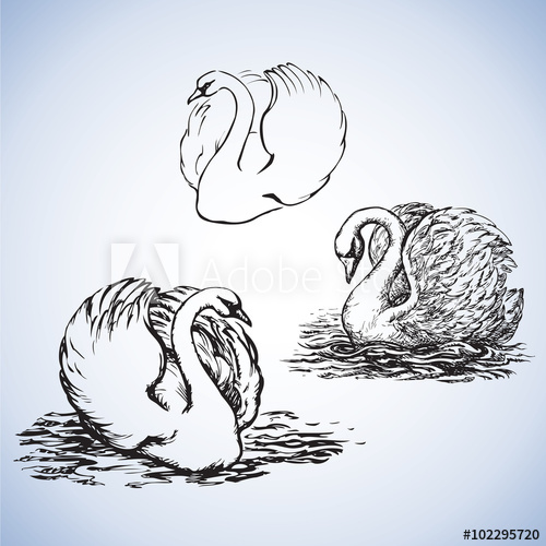 500x500 Dna Chain In Develop, Functioning And Reproduction Of Living - Backdrop Sketch