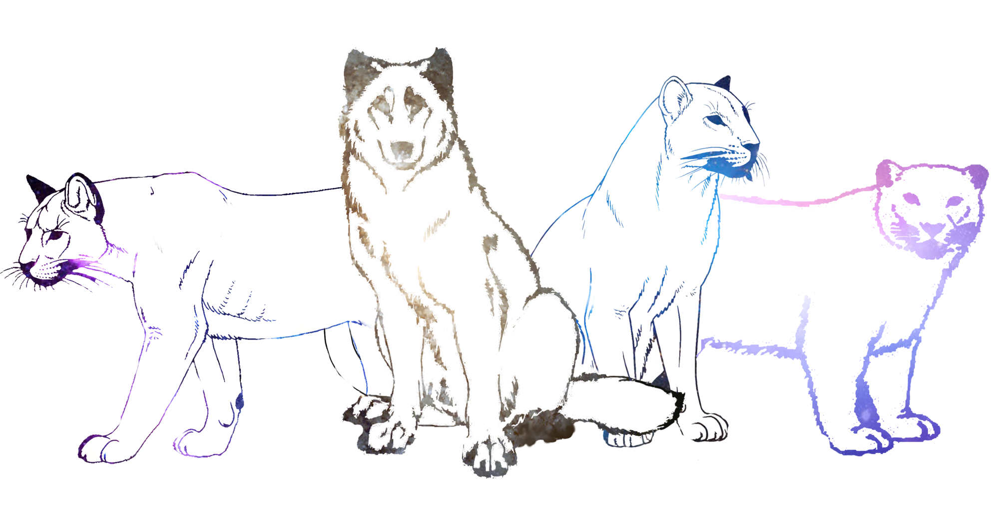 2000x1049 Collection Of Free Bacteria Drawing Dog. Download On Ubisafe - Bacteria Sketch