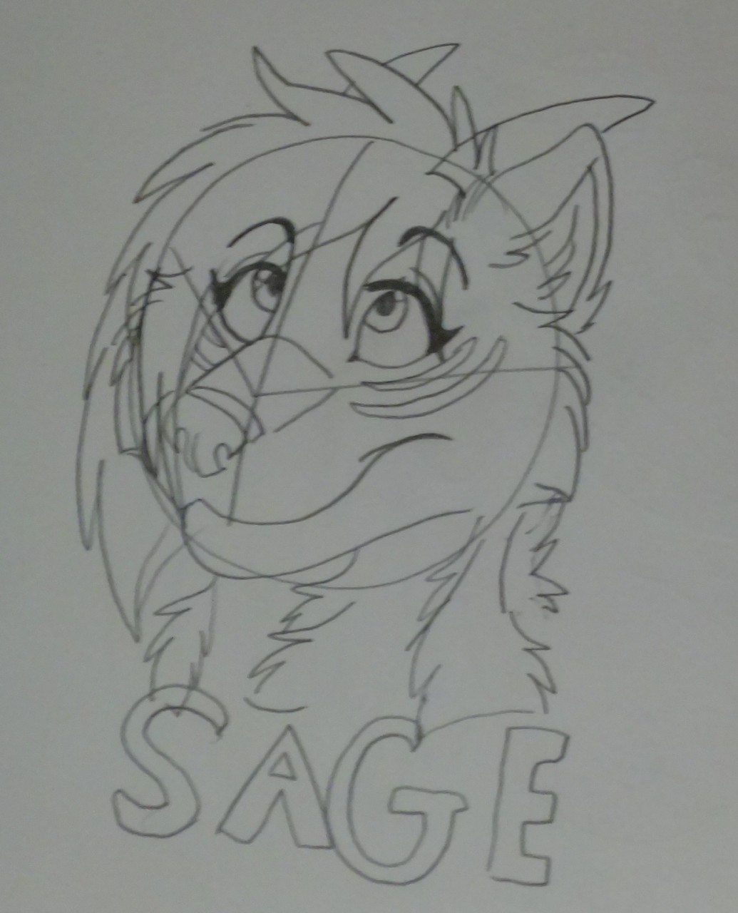 1035x1280 Sage Traditional Headshot Badge Sketch (Freebie) By - Badge Sketch