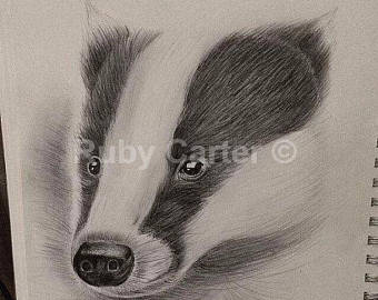 340x270 Badger Sketch Etsy - Badger Sketch