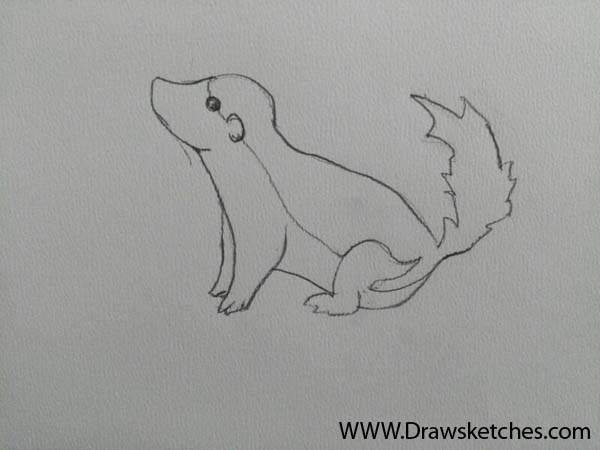 600x450 How To Draw A Honey Badger In A Few Easy Steps With Pictures - Badger Sketch