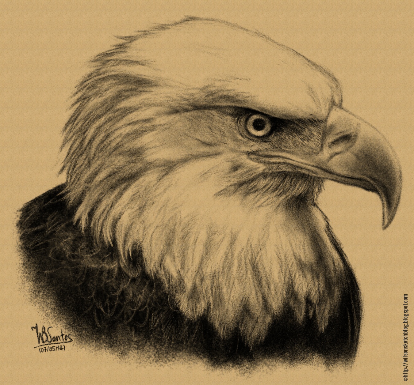 1350x1257 Bald Eagle - Bald Eagle Pencil Sketch