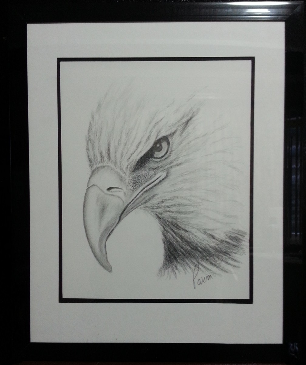 1008x1202 Eagle Eye Bald Eagle Pencil Sketch Color Pencil On Paper - Bald Eagle Pencil Sketch