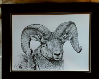 340x270 Eagle Bald Eagle American Eagle Pencil Drawing Original Etsy - Bald Eagle Pencil Sketch