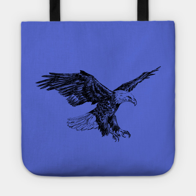 630x630 Bald Eagle Sketch - Bald Eagle Sketch
