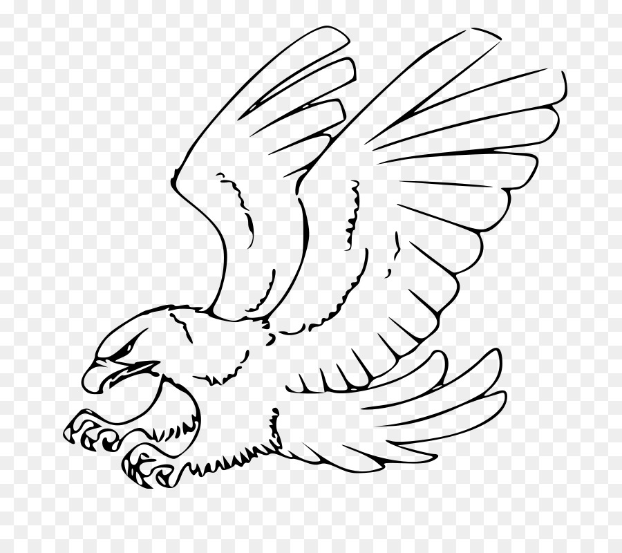 900x800 Drawing Bald Eagle Sketch - Bald Eagle Sketch