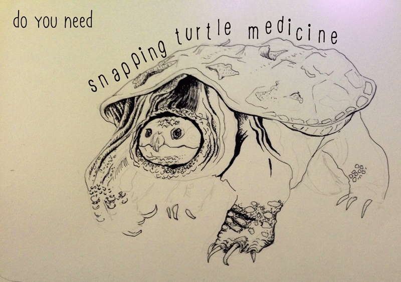 800x563 Ball And Chain Funk And Snapping Turtle Medicine - Ball And Chain Sketch